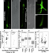 FIGURE 5: