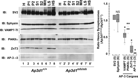 FIGURE 3: