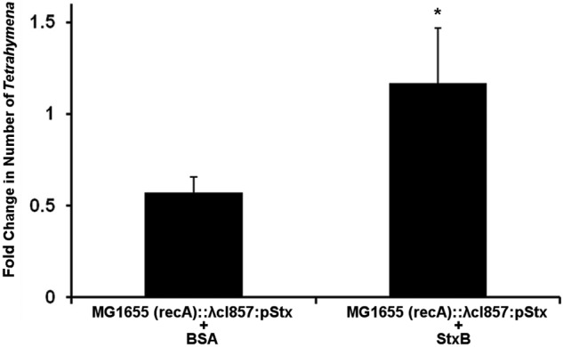 FIG 8 