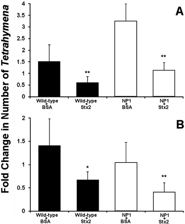 FIG 3 