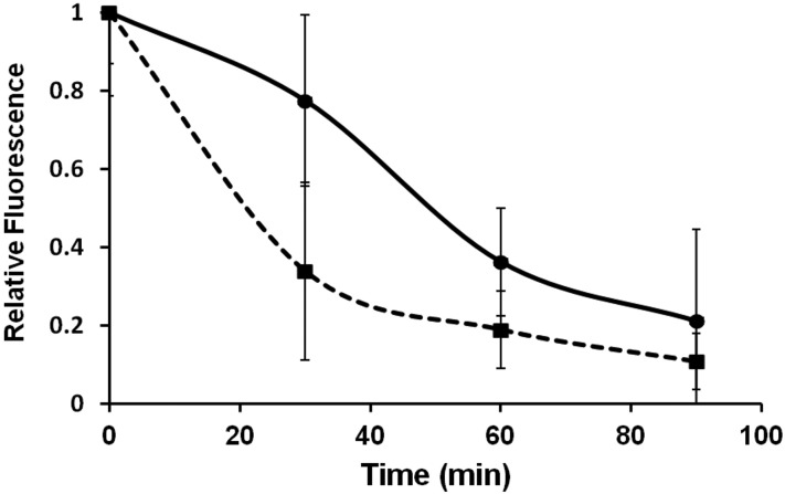 FIG 6 