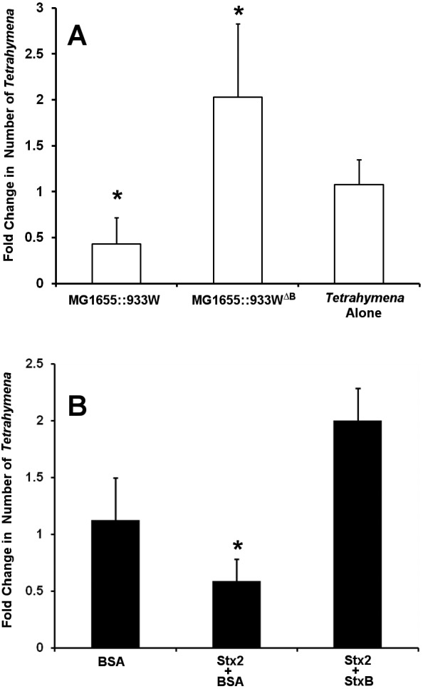 FIG 1 