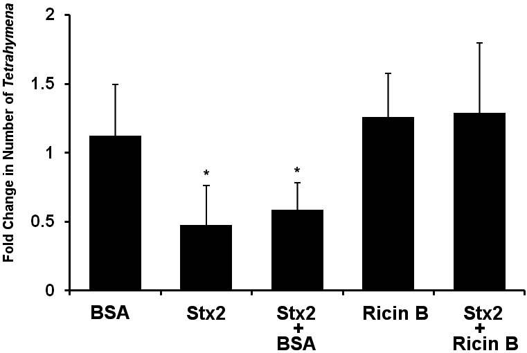 FIG 4 