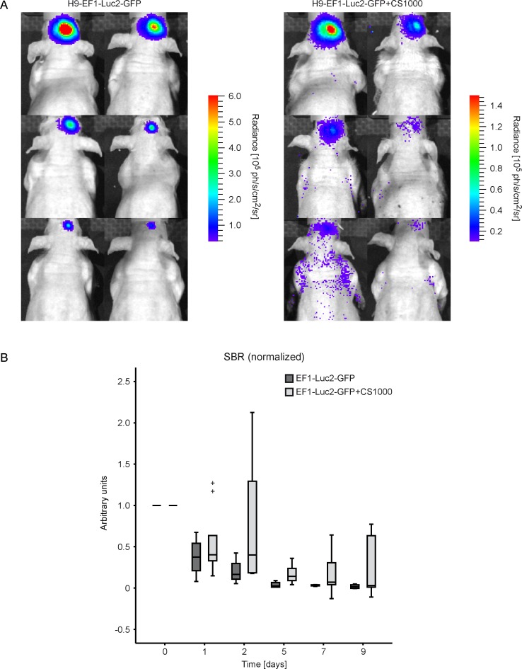 Fig 4