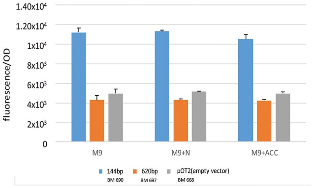 Figure 5