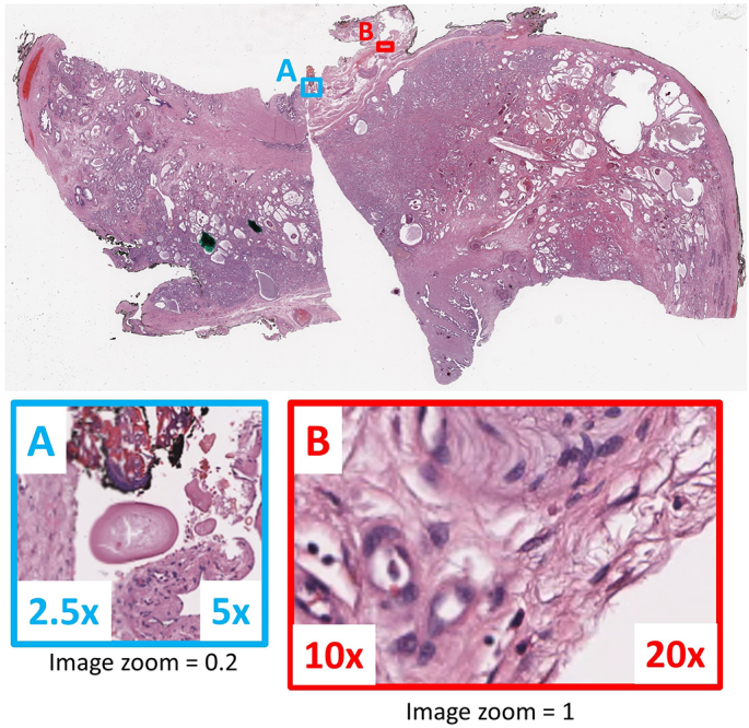 Fig. 4