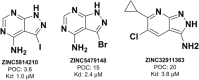 Fig. 2