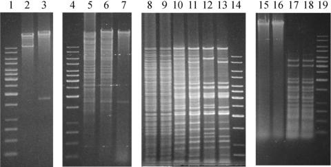 FIG. 7.