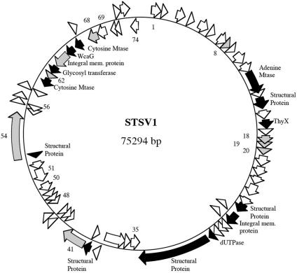 FIG. 8.