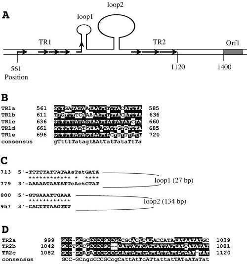 FIG. 10.