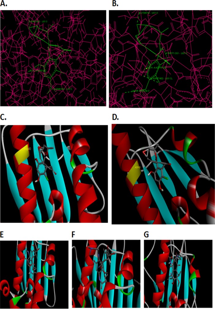 FIG 8