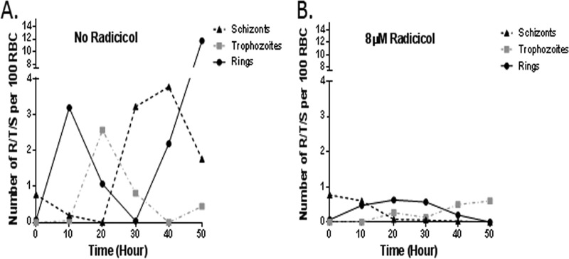 FIG 2