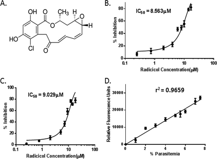 FIG 1