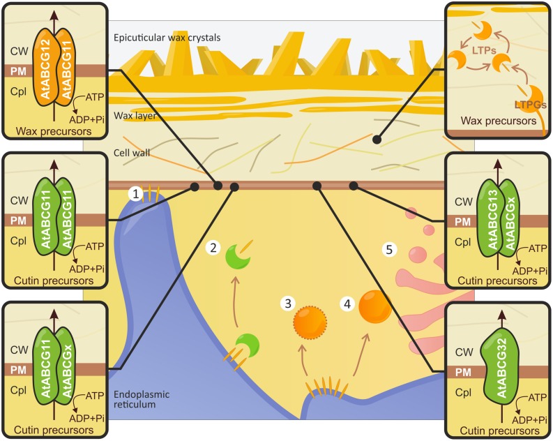 FIGURE 3