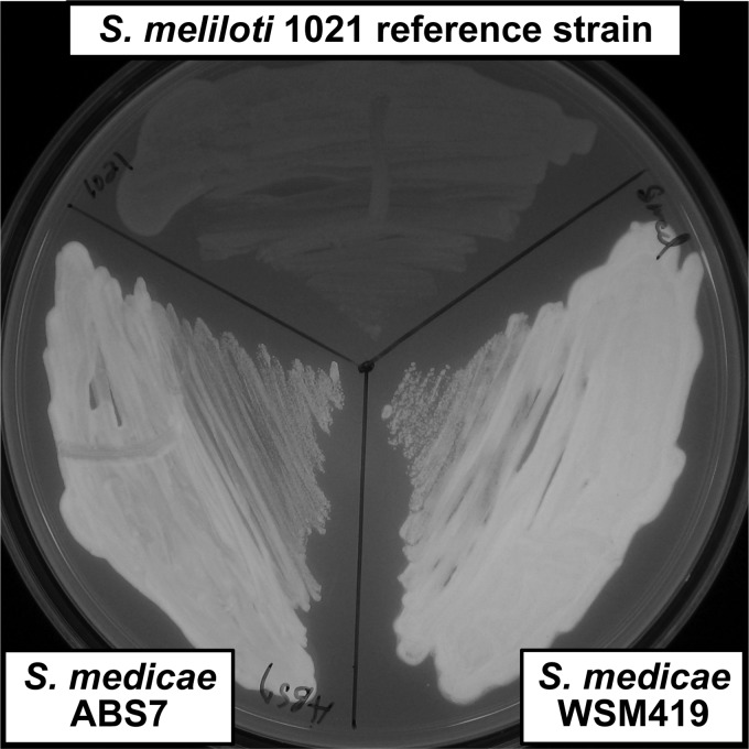 Fig 5