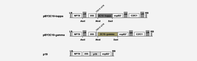 Fig. 2