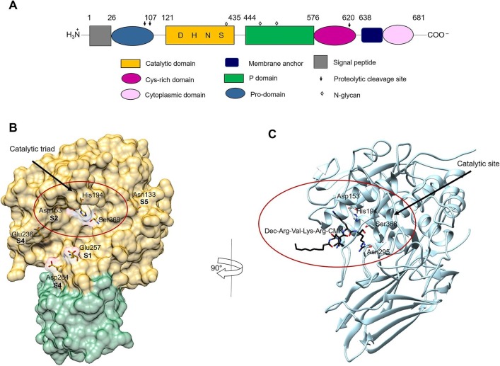 Fig. 4