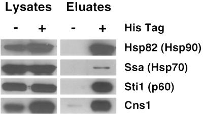 FIG. 6