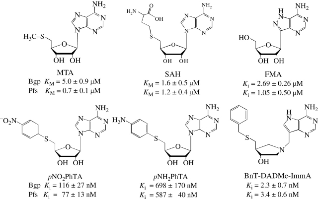 Figure 3