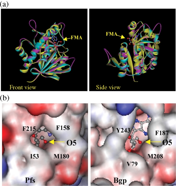 Figure 6