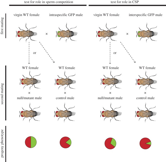 Figure 1.