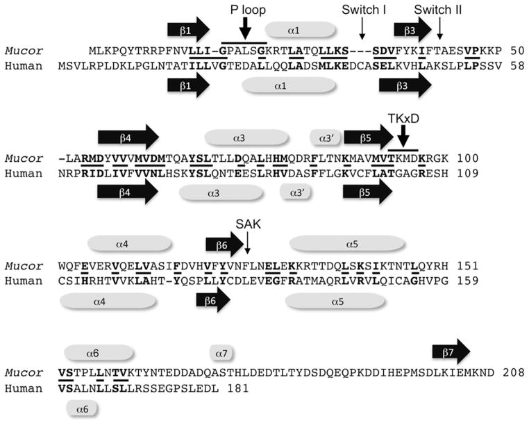 FIG. 6