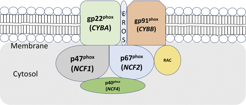 Figure 1