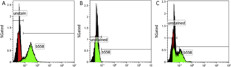 Figure 3