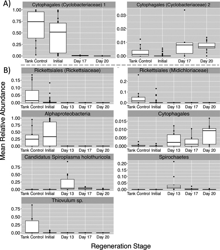 FIG 6