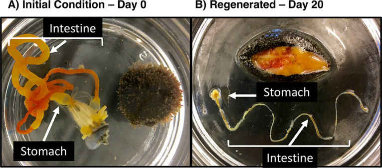 FIG 1