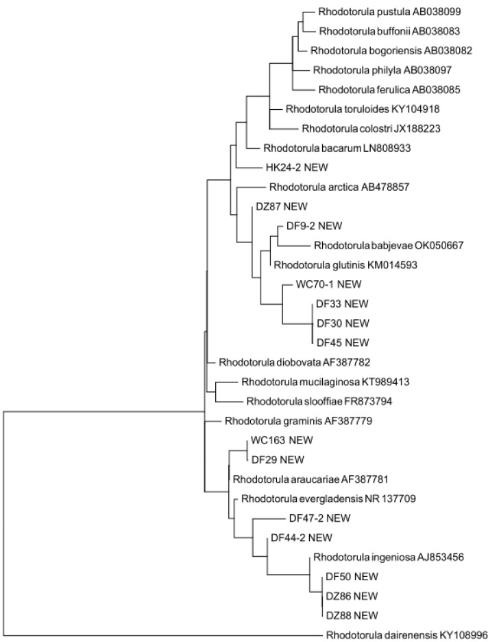 Figure 4