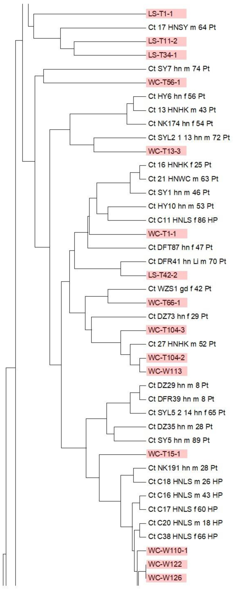 Figure 6