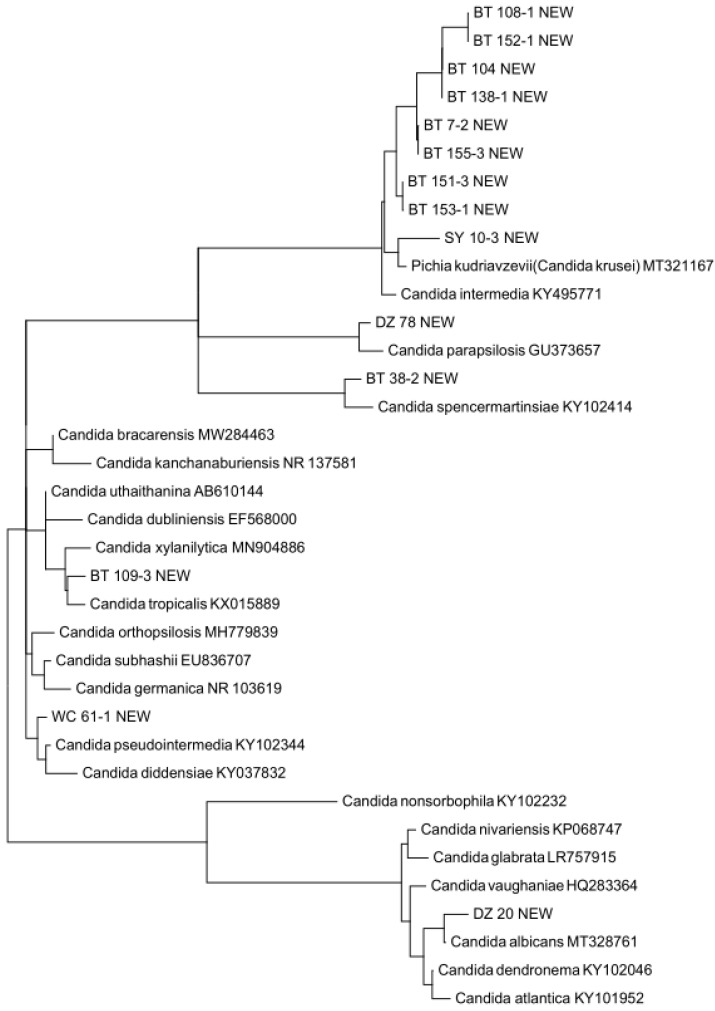 Figure 3