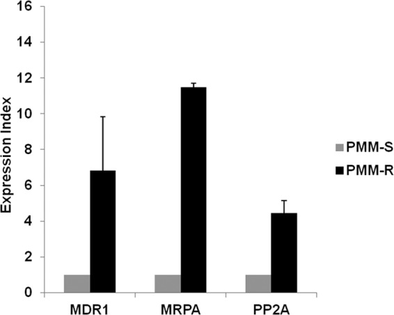 FIG 3