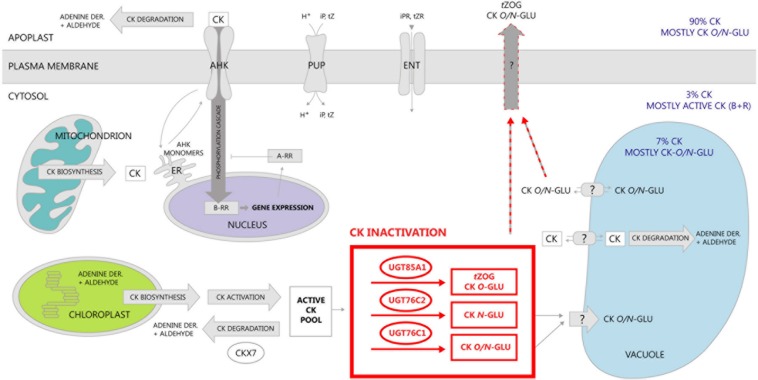 FIGURE 10