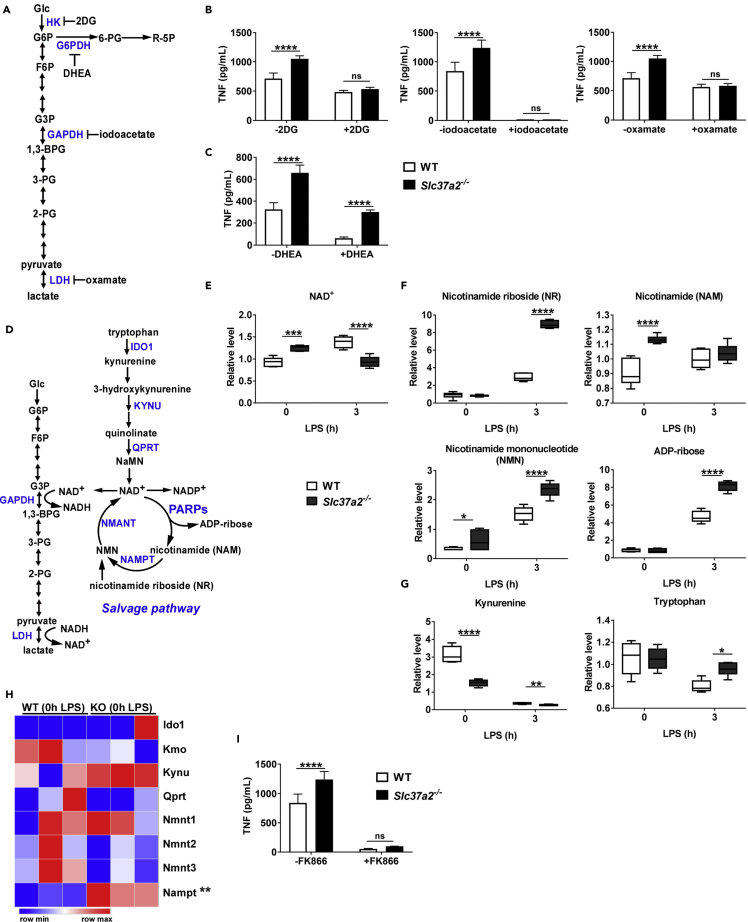 Figure 6