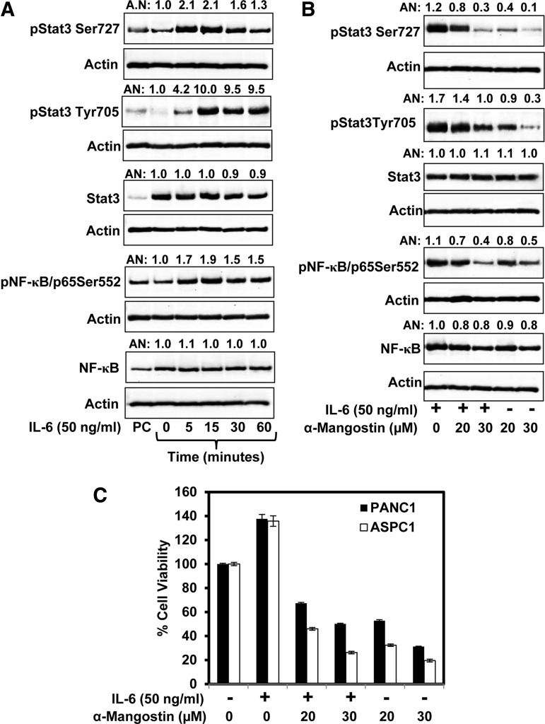 FIG. 5.