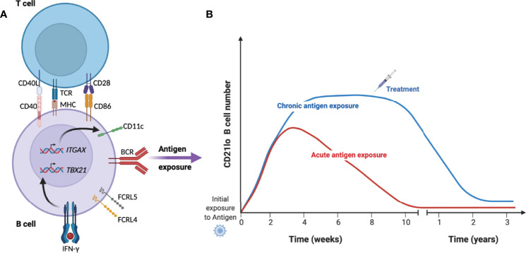 Figure 1