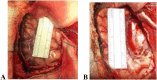 Fig. A2