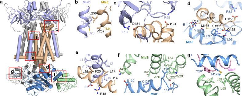 Fig. 3