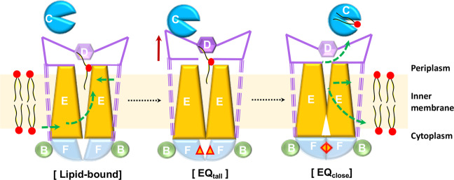 Fig. 6