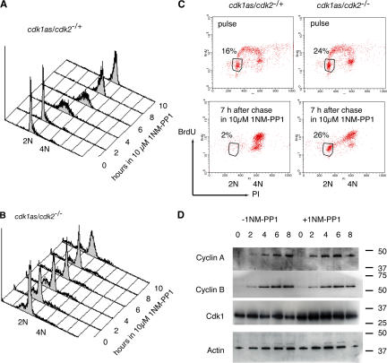 Figure 3.