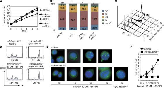 Figure 2.