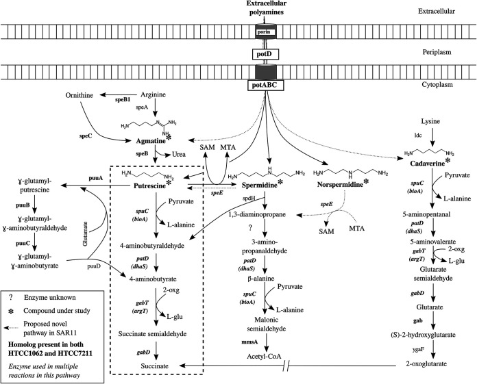 FIG 1