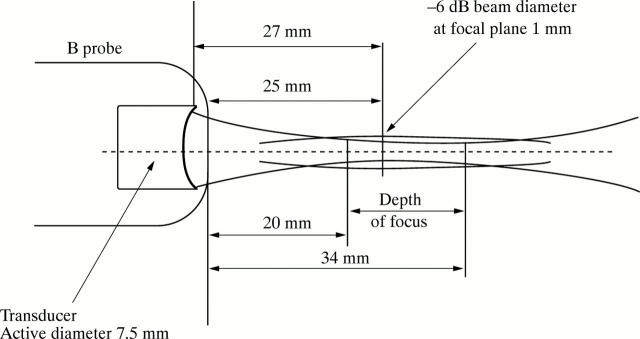 Figure 1  