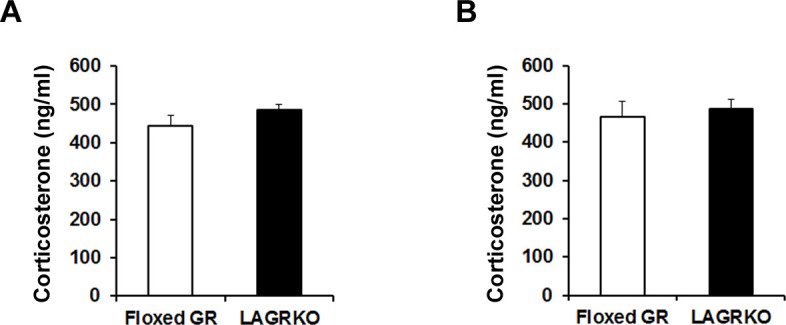 Figure 5—figure supplement 1.