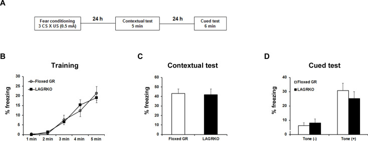 Figure 3—figure supplement 1.