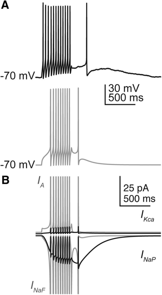 Figure 9.