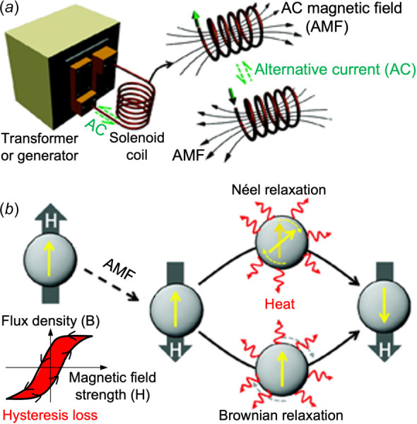 Magnetic heating of SPIONs for magnetothermal therapy. (a) The induction heater consists of a transformer/generatorto input an AC into a solenoid coil to generate an AMF for heating SPIONs. (b) A schematic illustration of the mechanisms of AMF heating of SPIONs. SPIONs perform as an energy transfer mediator and as a mechanical force vector. Through repeated alignments of magnetic spins and relaxations via Néel (spin rotation) and Brownian (particle rotation) relaxations, in response to the AC magnetic field, thermal energy can be generated from the magnetic nanoparticles. Heat can also be generated due to the hysteresis loss. (Reproduced with permission from Yoo et al. [14]. Copyright 2011 by American Chemical Society), with modification.