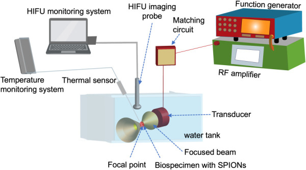 HIFU heating of SPIONs-laden biospecimen. An HIFU system is comprised of a function generator, a gain-variable power amplifier, a transducer, a water tank, an HIFU imaging probe, and a thermal sensor. The transducer creates an ultrasound beam which is focused to a focal point in the target tissue. The kinetic energy of the ultrasound beam is converted into thermal energy, which may cause instantaneous damage to diseased cells and tissues. This heating process may be enhanced by using SPIONs delivered in the biospecimen.